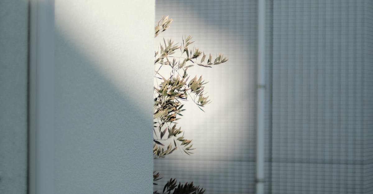 Granville Square, Birmingham