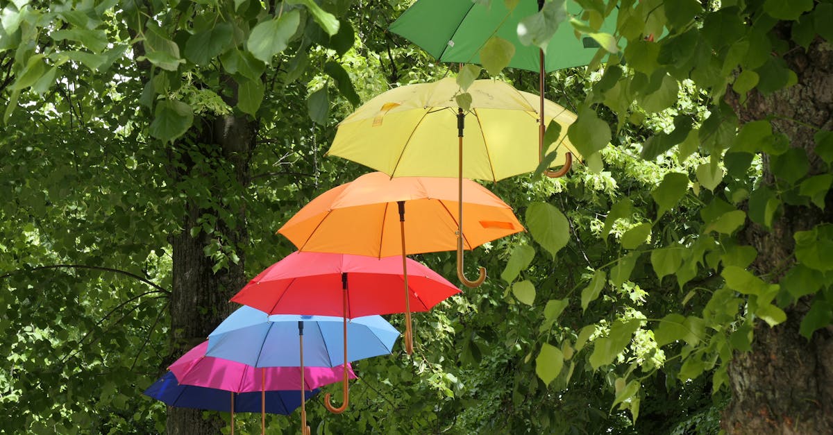 Selly Park, Birmingham